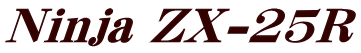 Ninja ZX-25R