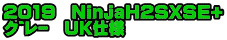 2019 NinjaH2SXSE+ グレー UK仕様